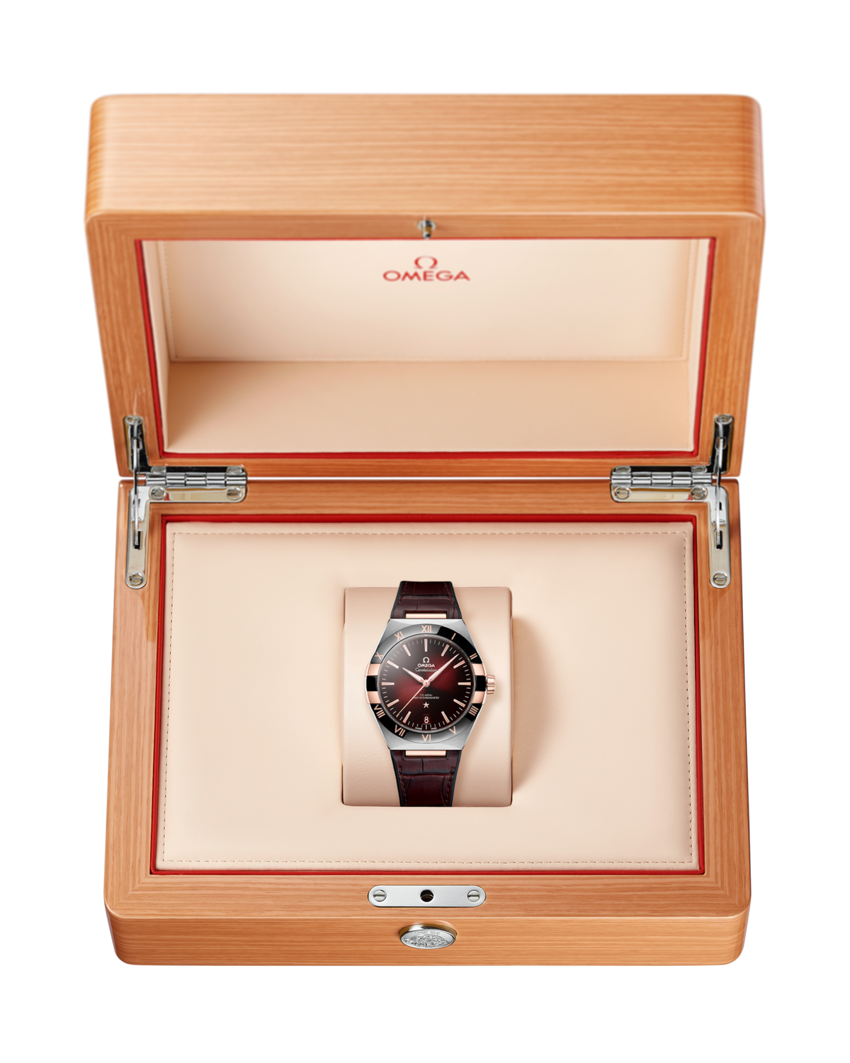 Constellation 41 mm Stainless Steel – Leather Strap